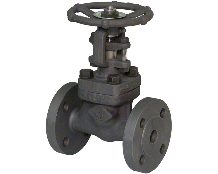 Carbon steel A150N gate valve 131 TRIM 5 300 lbs RF 1/2''